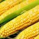 Как и сколько времени варить кукурузу
